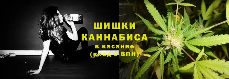 Бошки марихуана THC 21%  наркота  Муравленко 